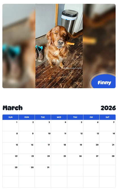 November 2025 - October 2026 Finny - Pawidols Pet Calendar
