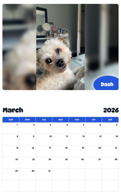 November 2025 - October 2026 Dash - Pawidols Pet Calendar