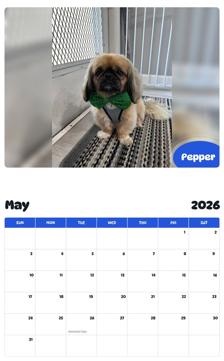2026 - 2027 Pepper - Pawidols Pet Calendar