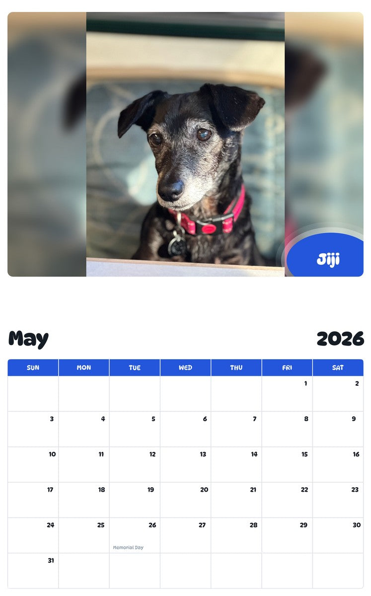 2026 - 2027 Jiji - Pawidols Pet Calendar