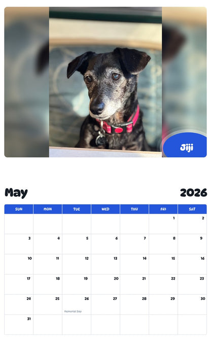 2026 - 2027 Jiji - Pawidols Pet Calendar