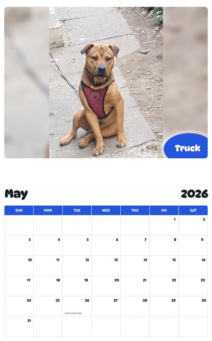 2026 - 2027 Truck - Pawidols Pet Calendar
