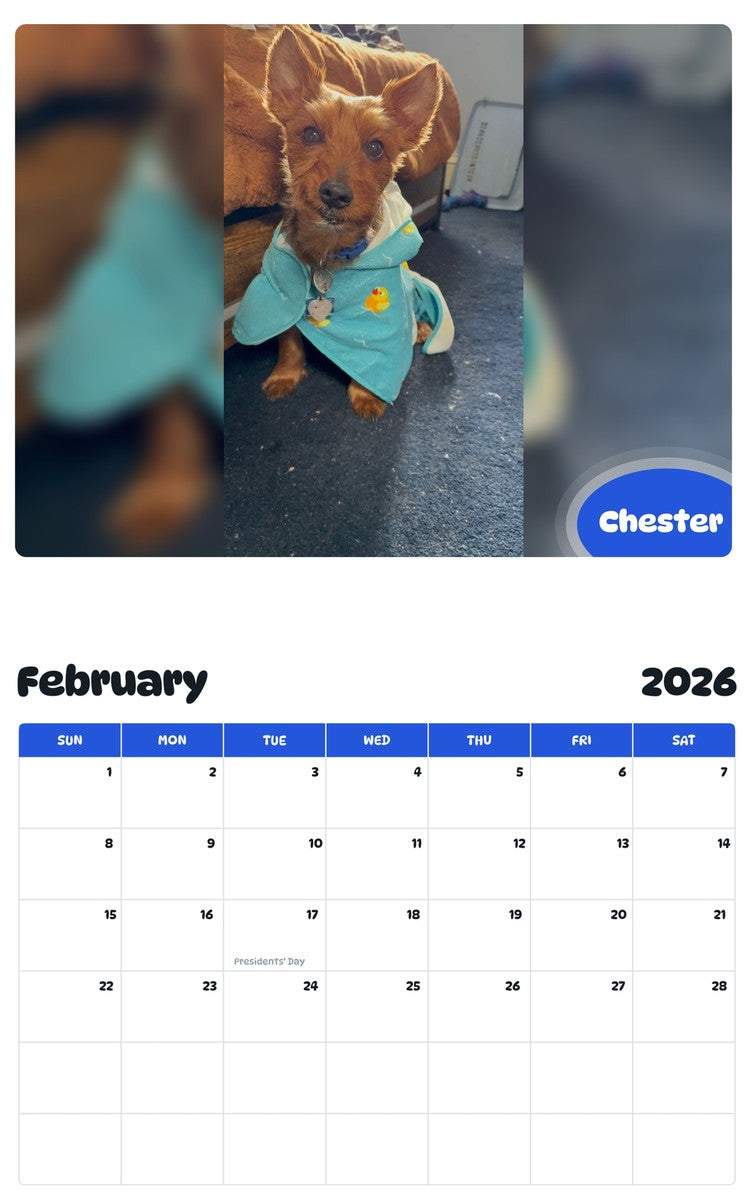 October 2025 - September 2026 Chester - Pawidols Pet Calendar