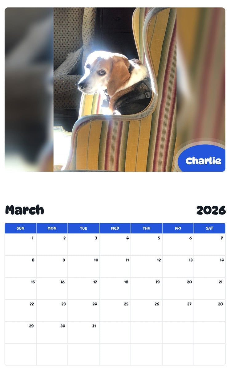 November 2025 - October 2026 Charlie - Pawidols Pet Calendar