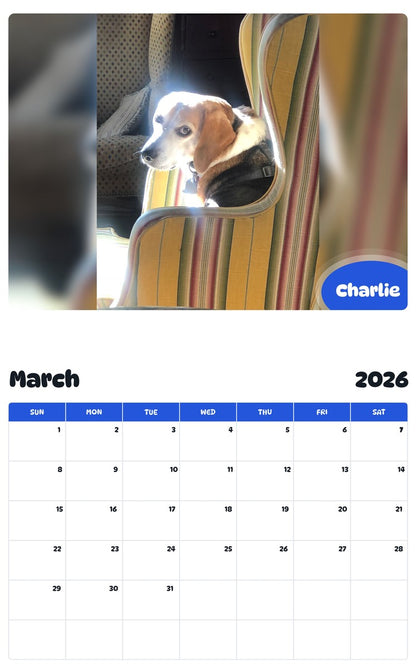 November 2025 - October 2026 Charlie - Pawidols Pet Calendar