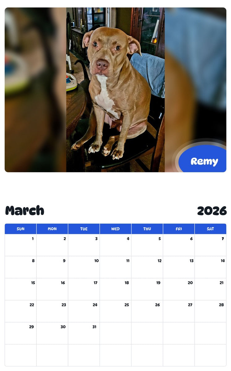 November 2025 - October 2026 Remy - Pawidols Pet Calendar