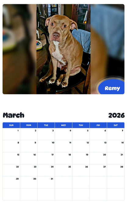 November 2025 - October 2026 Remy - Pawidols Pet Calendar