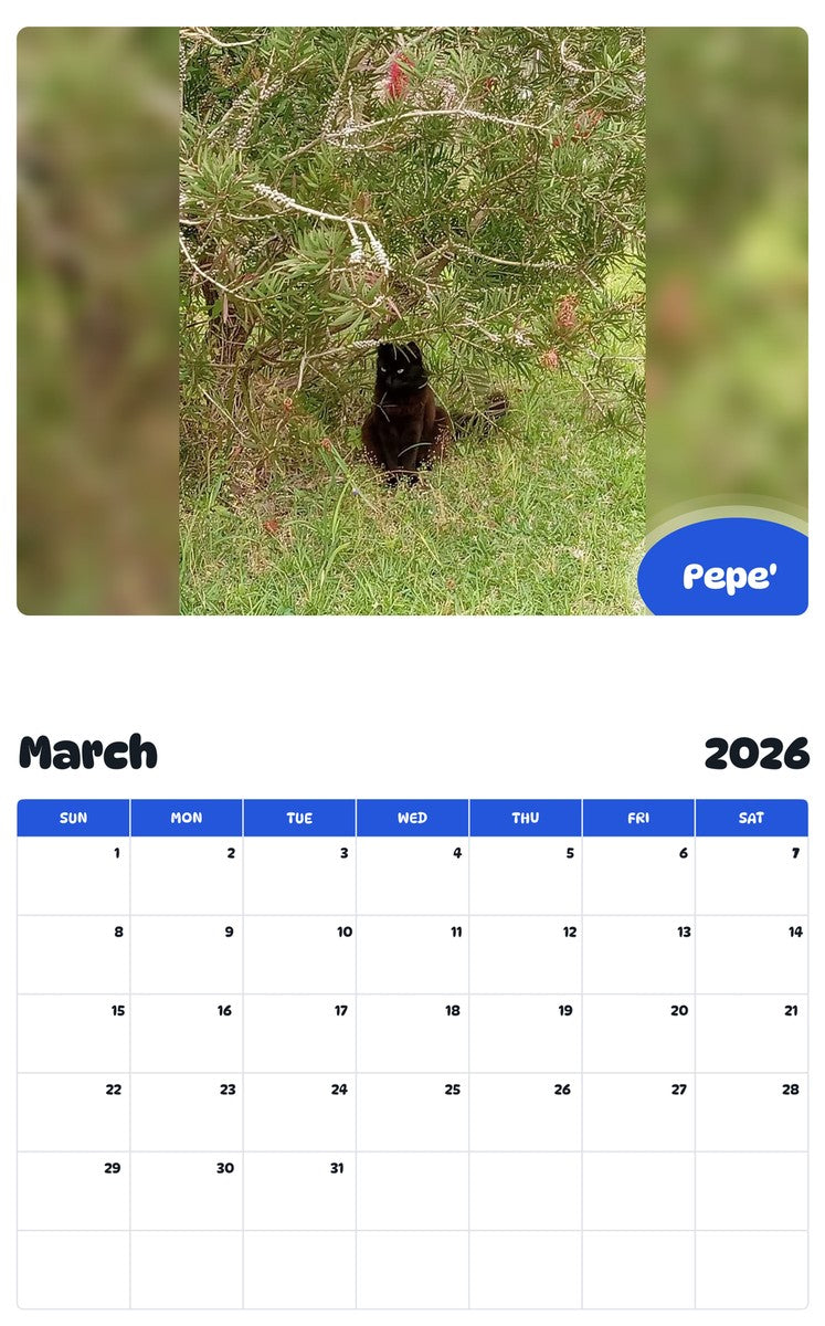 November 2025 - October 2026 Pepe' - Pawidols Pet Calendar
