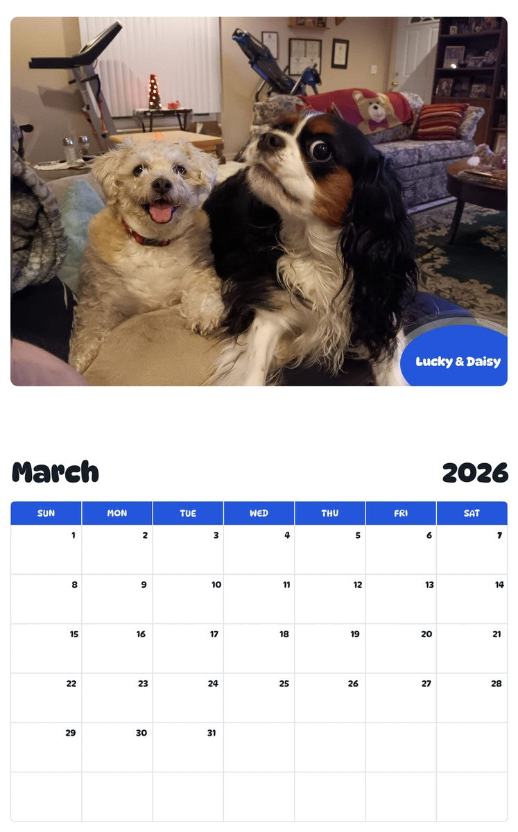 November 2025 - October 2026 Lucky & Daisy - Pawidols Pet Calendar