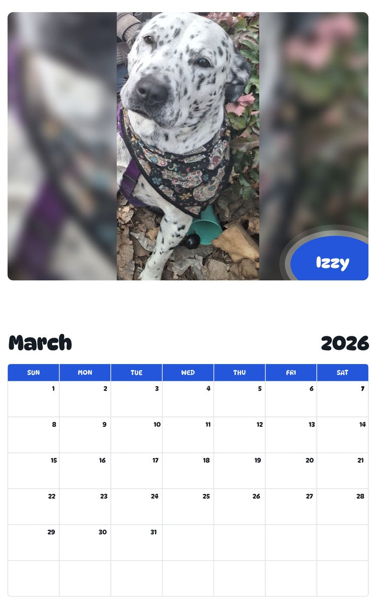 November 2025 - October 2026 Izzy - Pawidols Pet Calendar