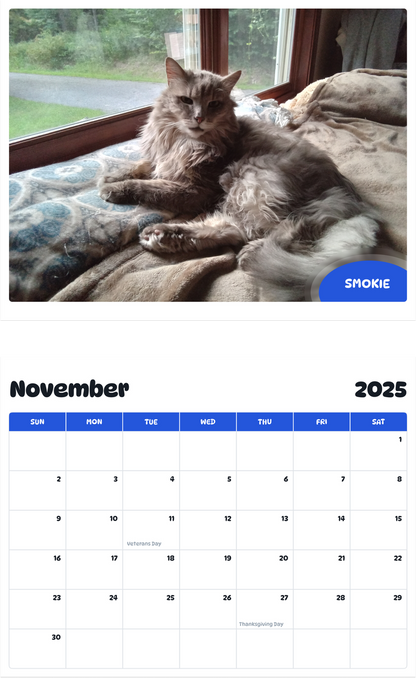 July 2025 - June 2026 Smokie - Pawidols Pet Calendar