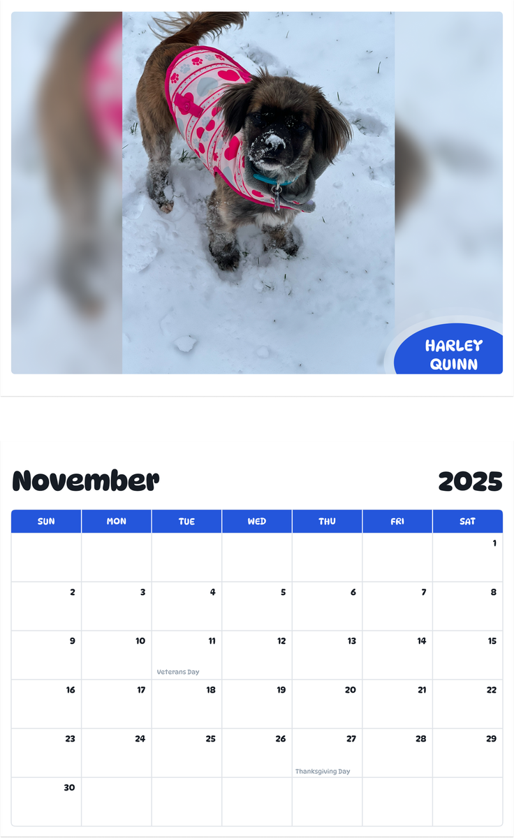 July 2025 - June 2026 Harley Quinn - Pawidols Pet Calendar