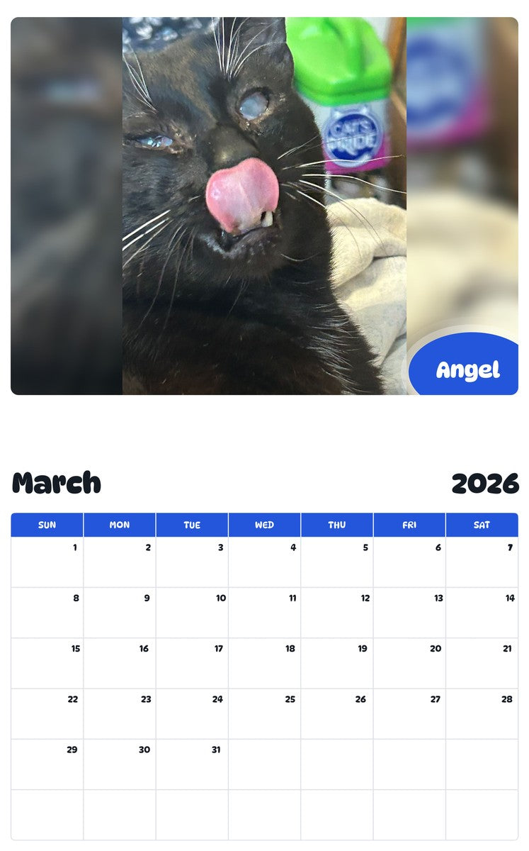 November 2025 - October 2026 Angel - Pawidols Pet Calendar