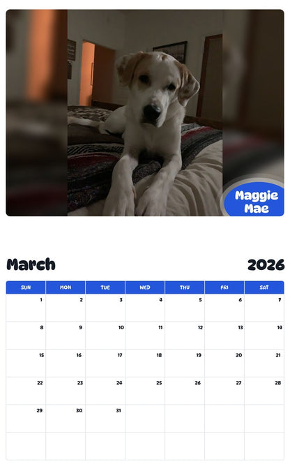 November 2025 - October 2026 Maggie Mae - Pawidols Pet Calendar