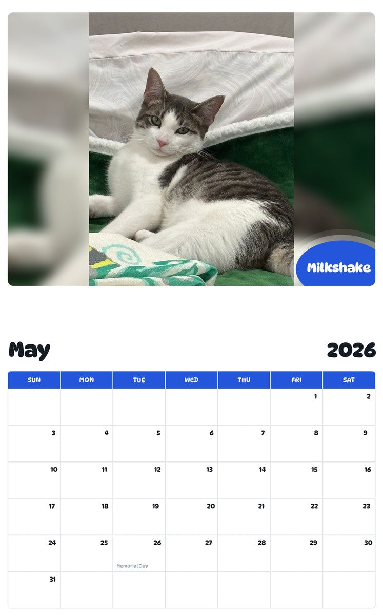 2026 - 2027 Milkshake - Pawidols Pet Calendar