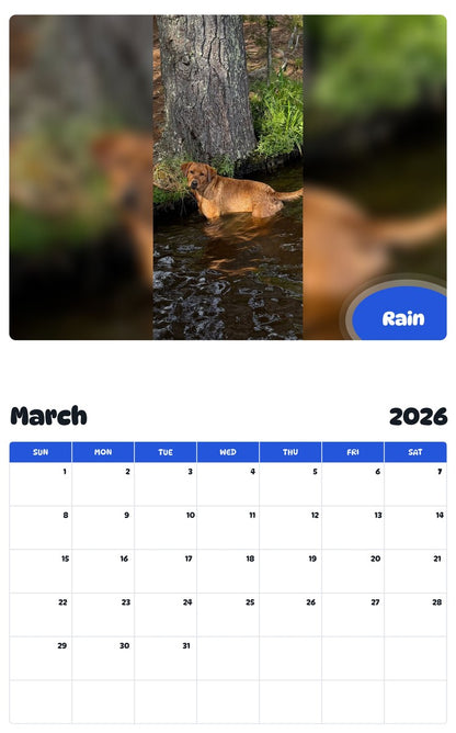 November 2025 - October 2026 Rain - Pawidols Pet Calendar