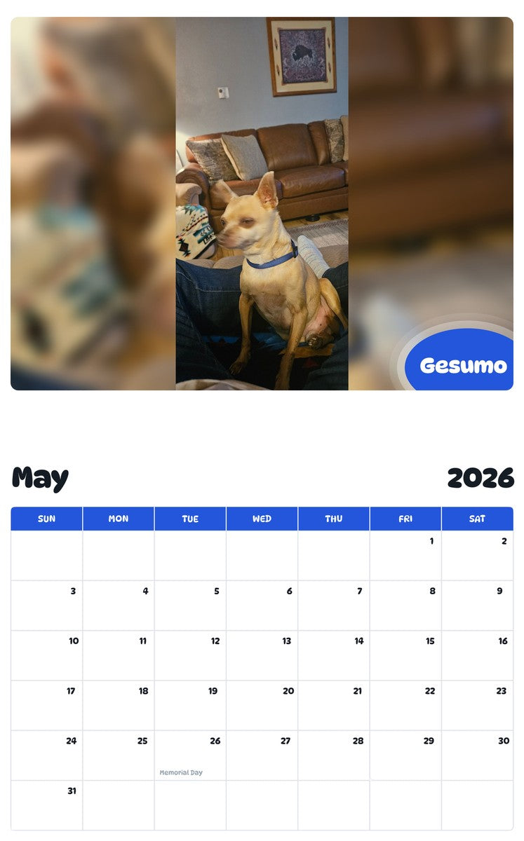 2026 - 2027 Gesumo - Pawidols Pet Calendar