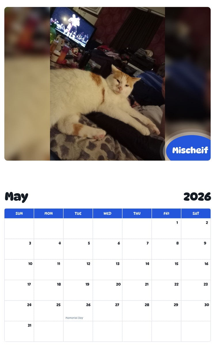 2026 - 2027 Mischeif - Pawidols Pet Calendar