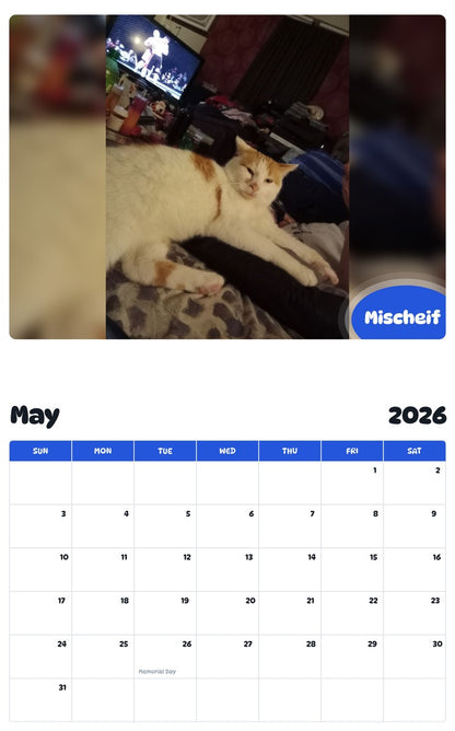 2026 - 2027 Mischeif - Pawidols Pet Calendar