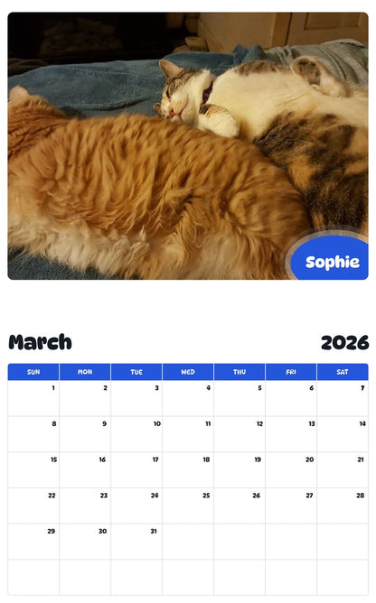 November 2025 - October 2026 Sophie - Pawidols Pet Calendar