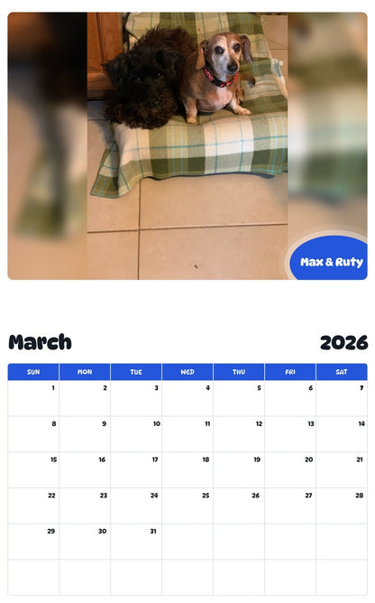November 2025 - October 2026 Max & Ruty - Pawidols Pet Calendar