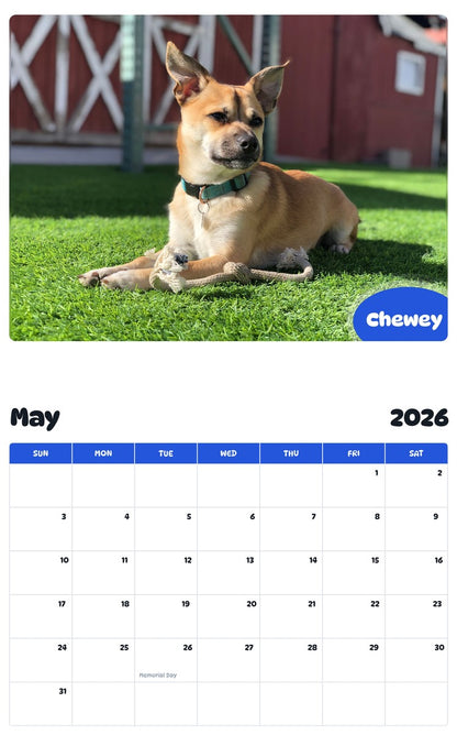 2026 - 2027 Chewey - Pawidols Pet Calendar