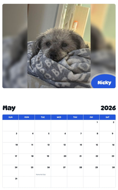 2026 - 2027 Nicky - Pawidols Pet Calendar