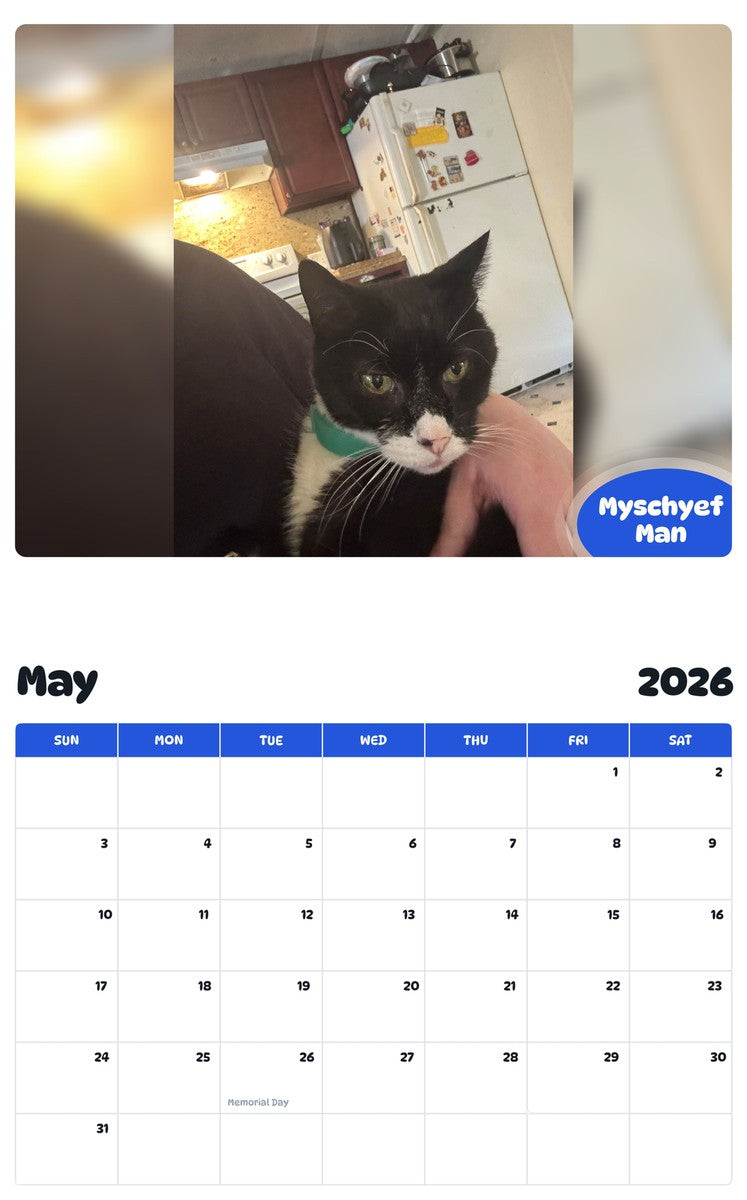 2026 - 2027 Myschyef Man - Pawidols Pet Calendar