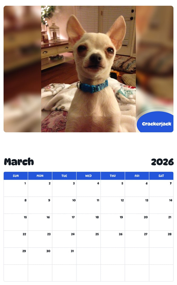 November 2025 - October 2026 Crackerjack - Pawidols Pet Calendar