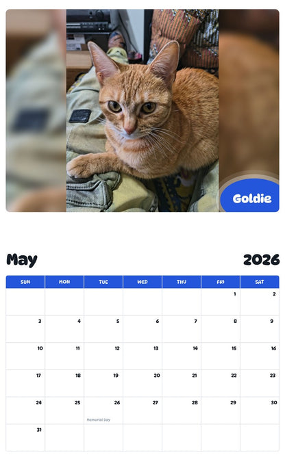 2026 - 2027 Goldie - Pawidols Pet Calendar