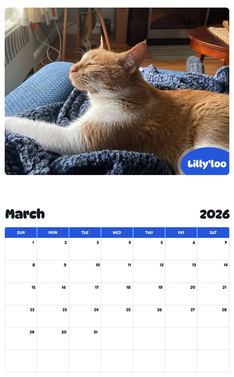 November 2025 - October 2026 Lilly’loo - Pawidols Pet Calendar