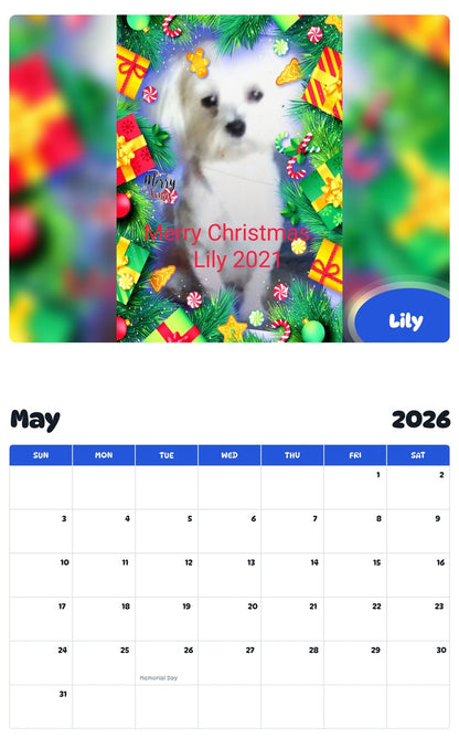 2026 - 2027 Lily - Pawidols Pet Calendar