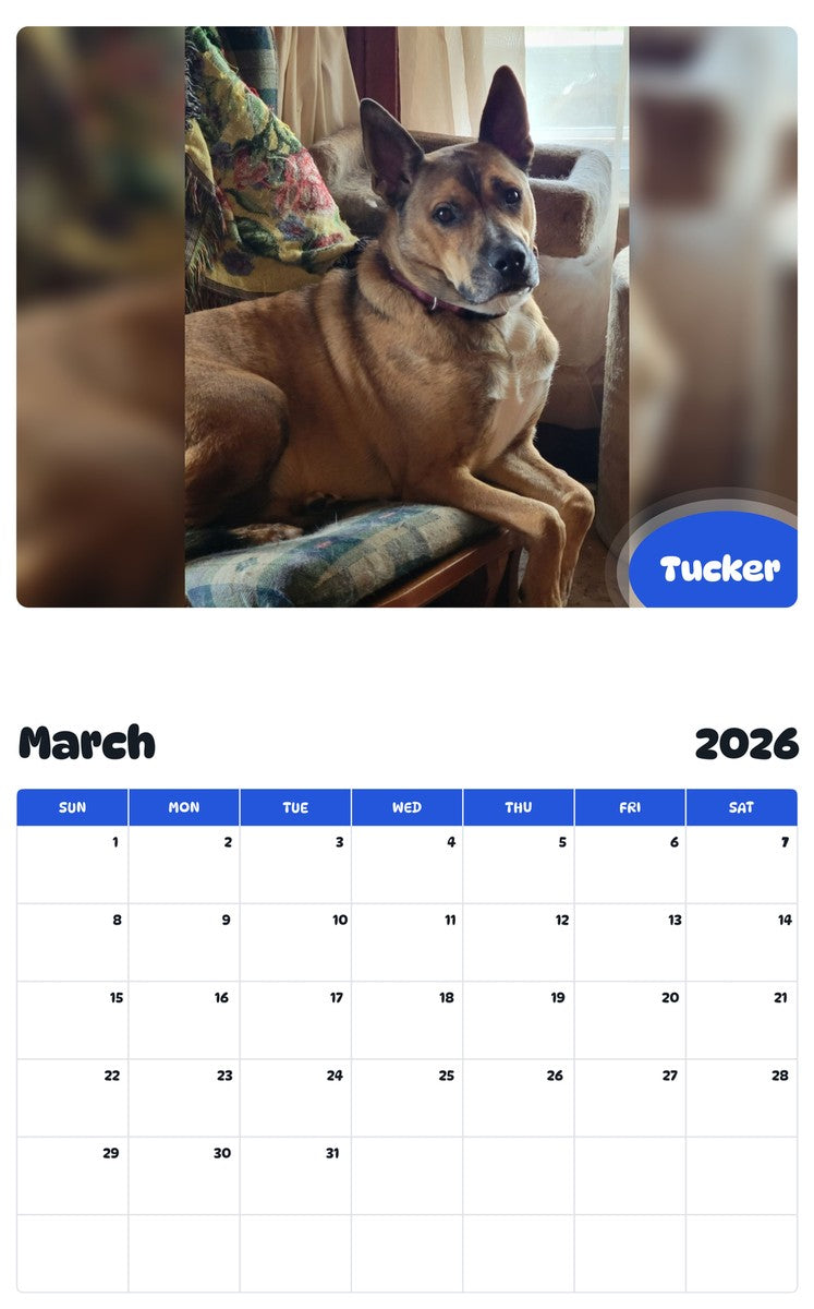 November 2025 - October 2026 Tucker - Pawidols Pet Calendar