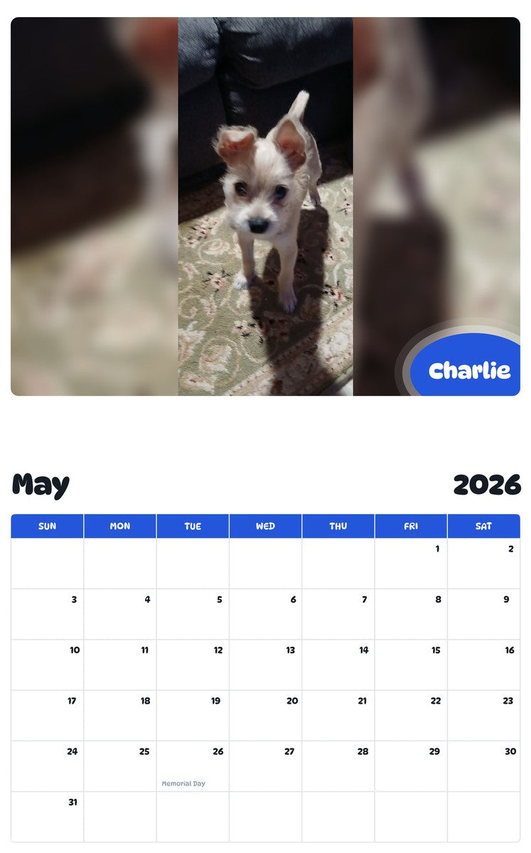 2026 - 2027 Charlie - Pawidols Pet Calendar