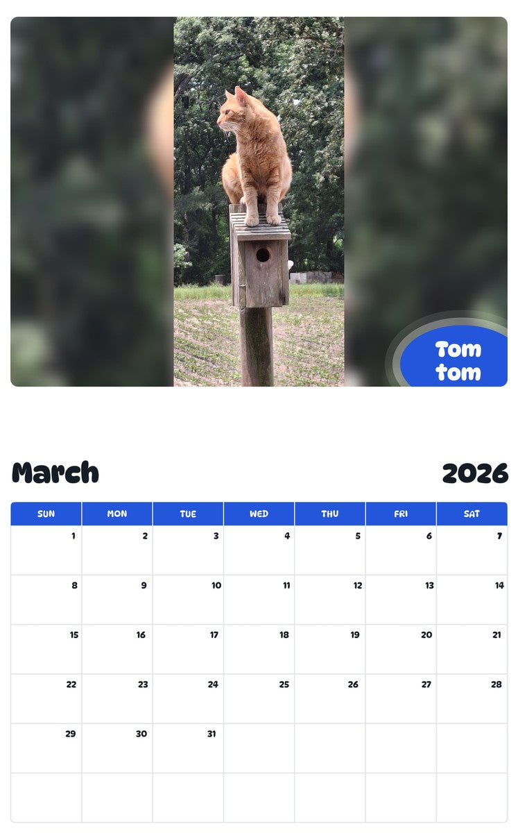 November 2025 - October 2026 Tom tom - Pawidols Pet Calendar