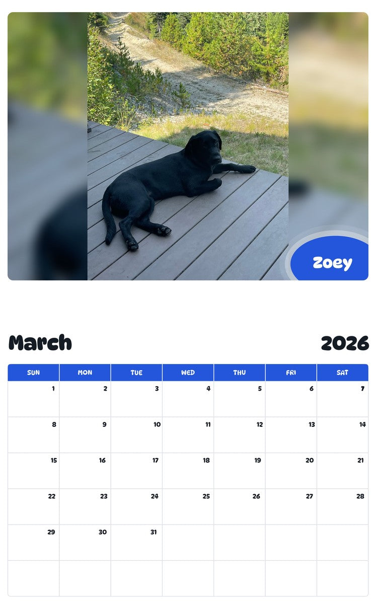 November 2025 - October 2026 Zoey - Pawidols Pet Calendar