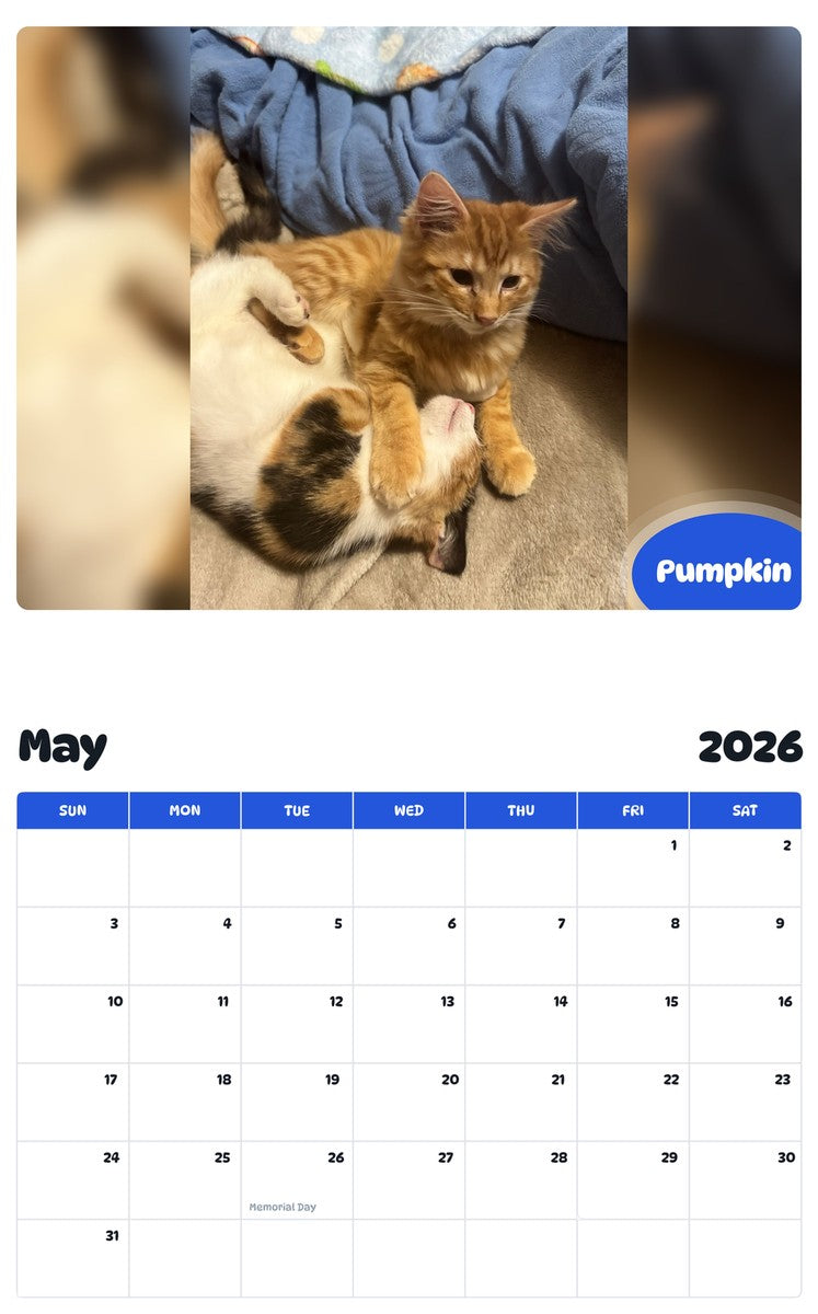 2026 - 2027 Pumpkin - Pawidols Pet Calendar