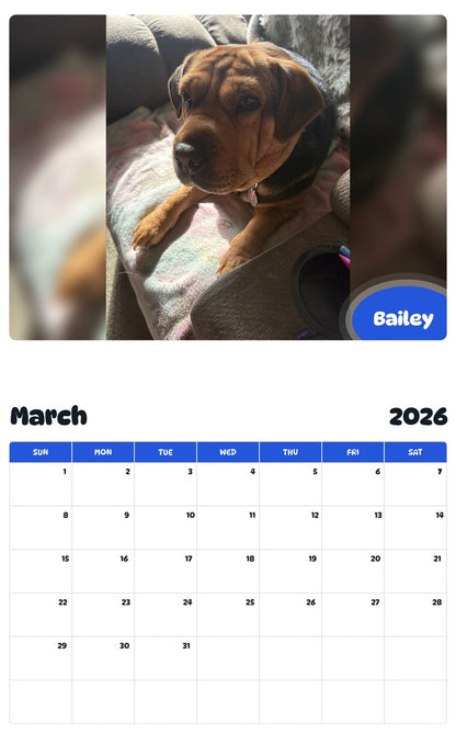 November 2025 - October 2026 Bailey - Pawidols Pet Calendar