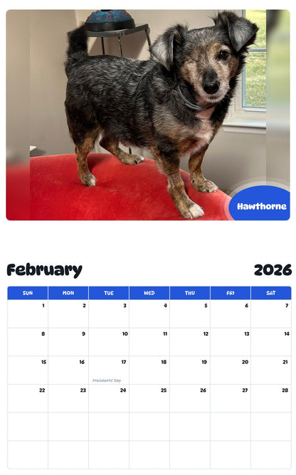 November 2025 - October 2026 Hawthorne - Pawidols Pet Calendar