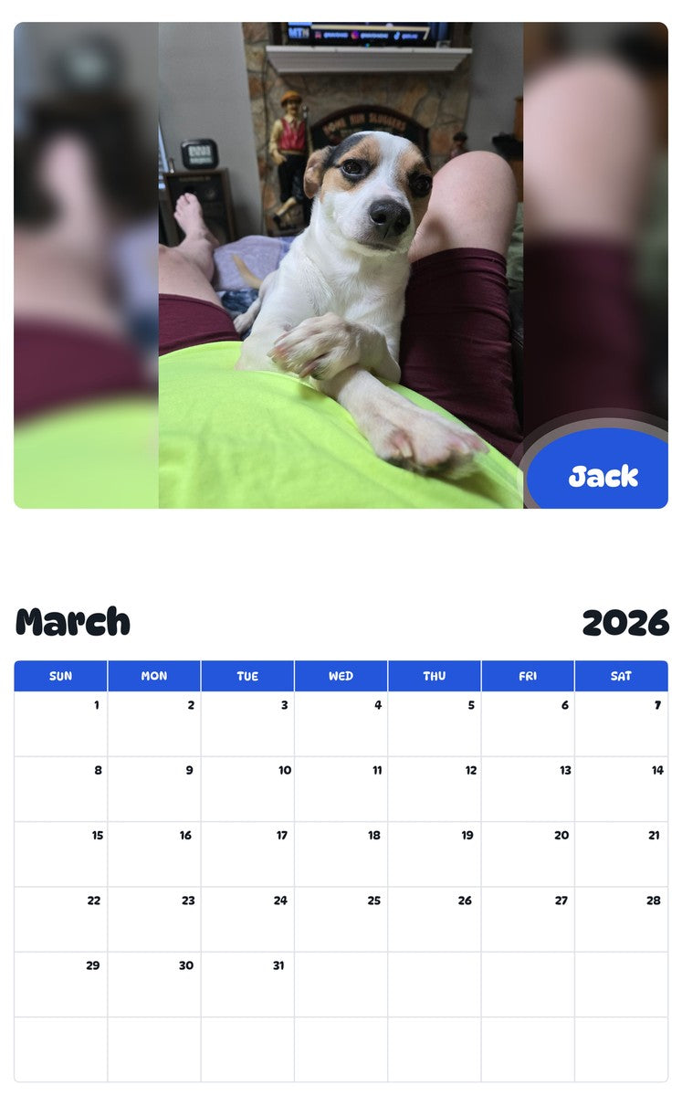 November 2025 - October 2026 Jack - Pawidols Pet Calendar