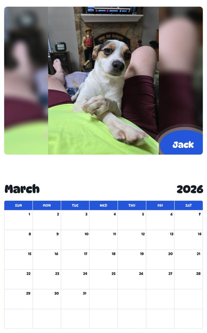 November 2025 - October 2026 Jack - Pawidols Pet Calendar