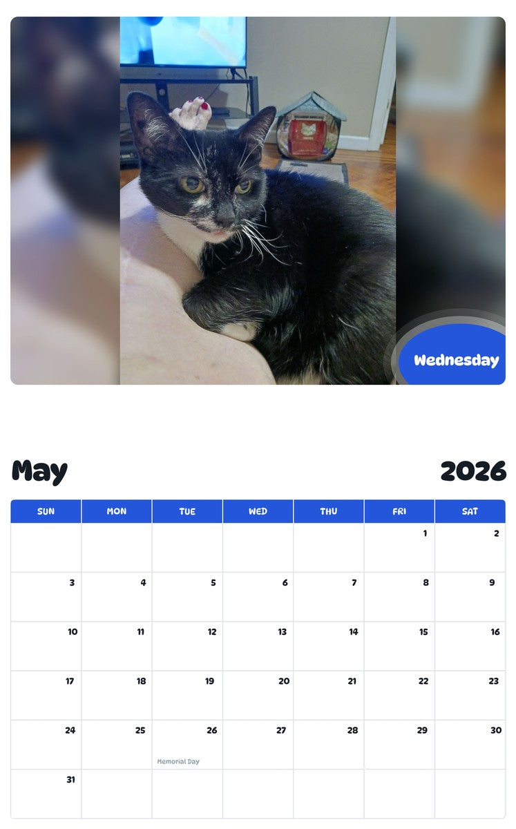 2026 - 2027 Wednesday - Pawidols Pet Calendar