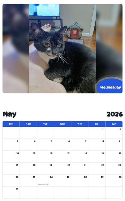 2026 - 2027 Wednesday - Pawidols Pet Calendar
