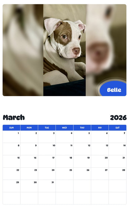 November 2025 - October 2026 Belle - Pawidols Pet Calendar
