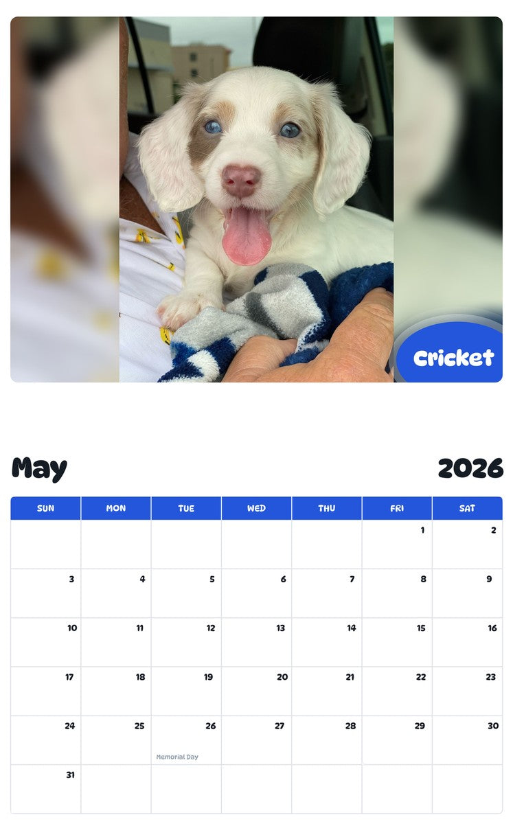 2026 - 2027 Cricket - Pawidols Pet Calendar