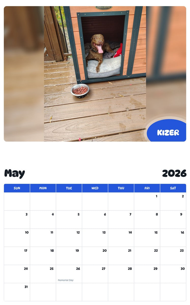 2026 - 2027 KIZER - Pawidols Pet Calendar