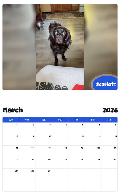 November 2025 - October 2026 Scarlett - Pawidols Pet Calendar