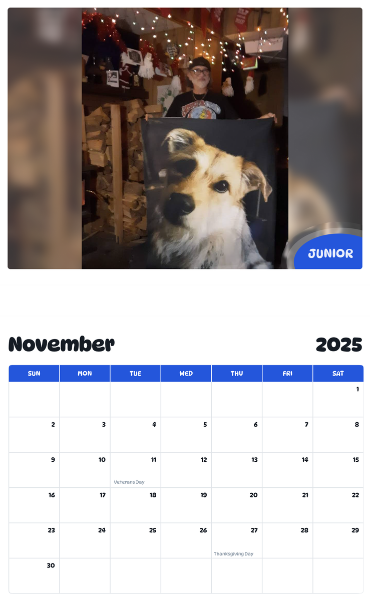 July 2025 - June 2026 Junior - Pawidols Pet Calendar