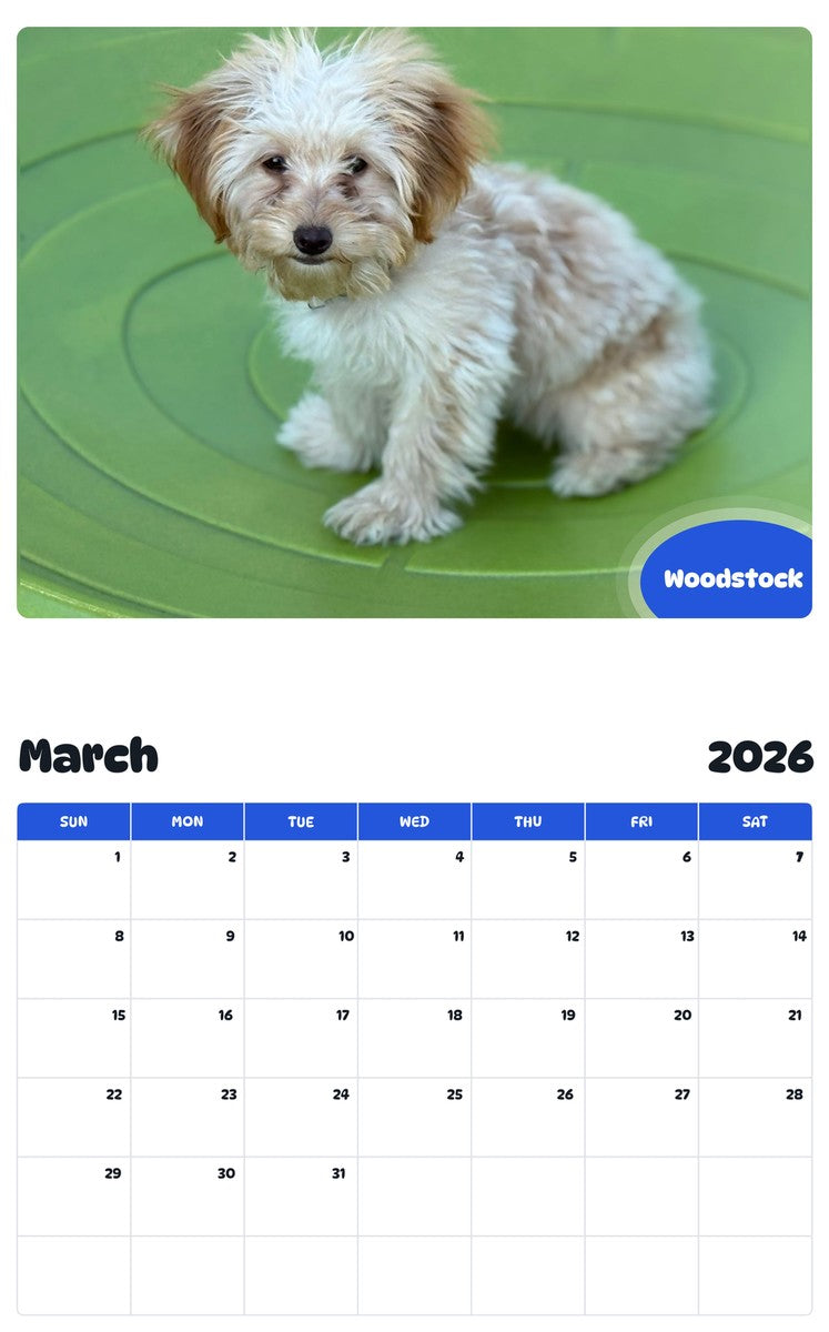 November 2025 - October 2026 Woodstock - Pawidols Pet Calendar