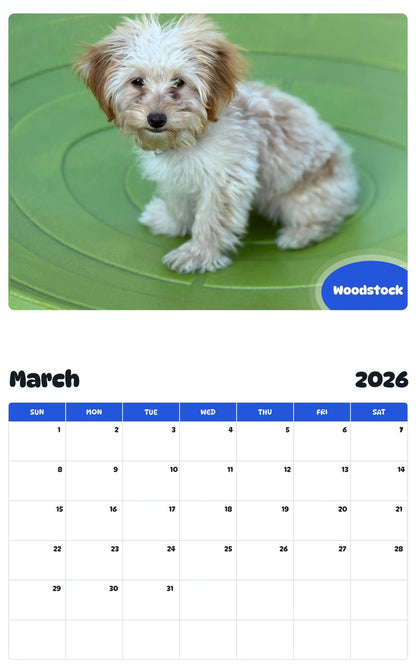 November 2025 - October 2026 Woodstock - Pawidols Pet Calendar
